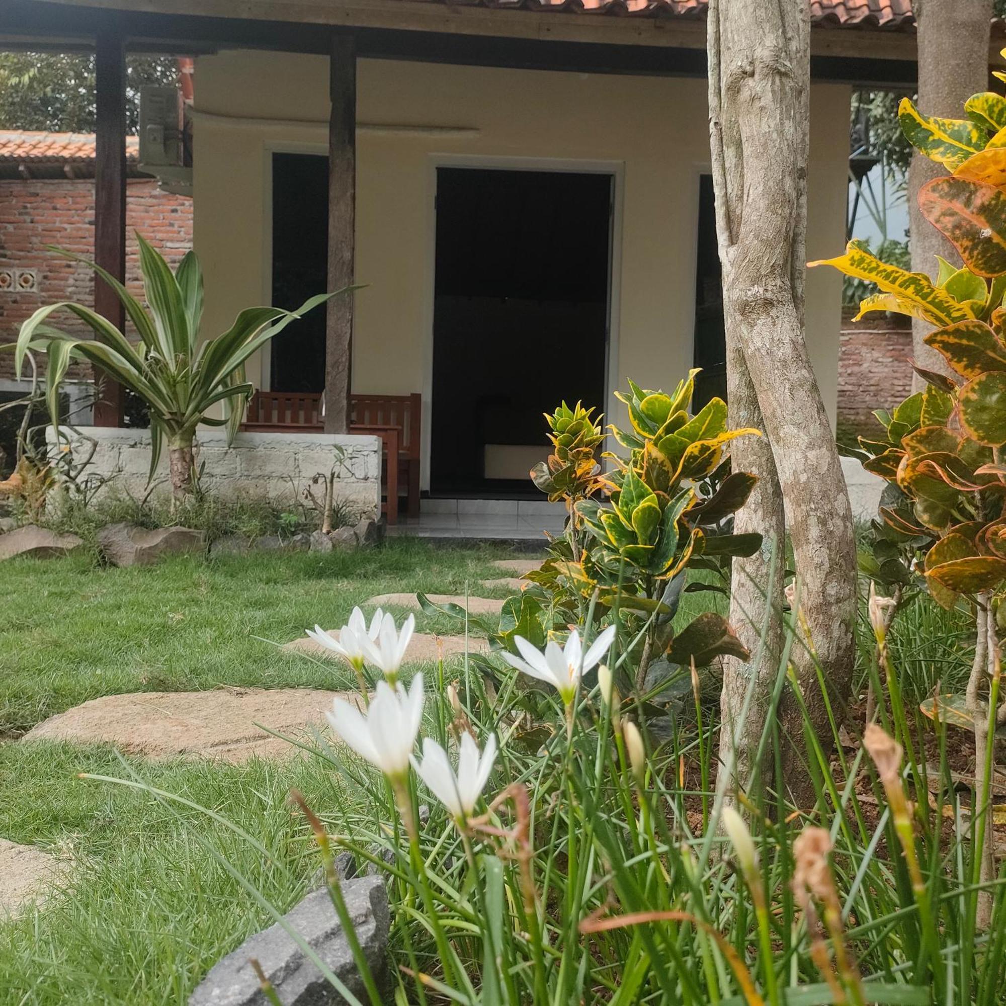 Tiara Homestay Banyuwangi バニュワンギ エクステリア 写真
