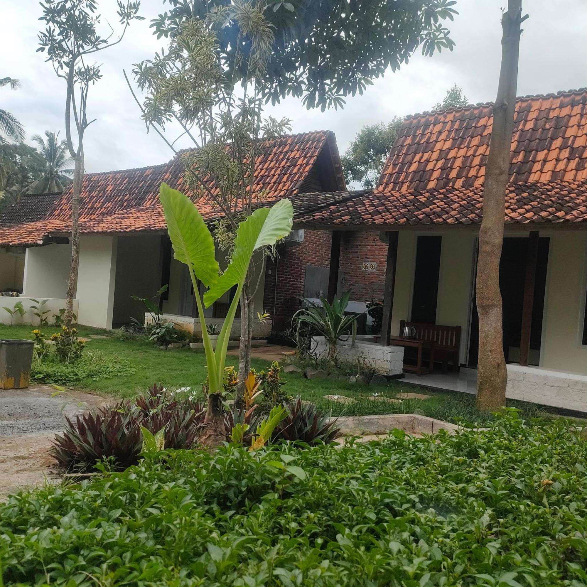 Tiara Homestay Banyuwangi バニュワンギ エクステリア 写真