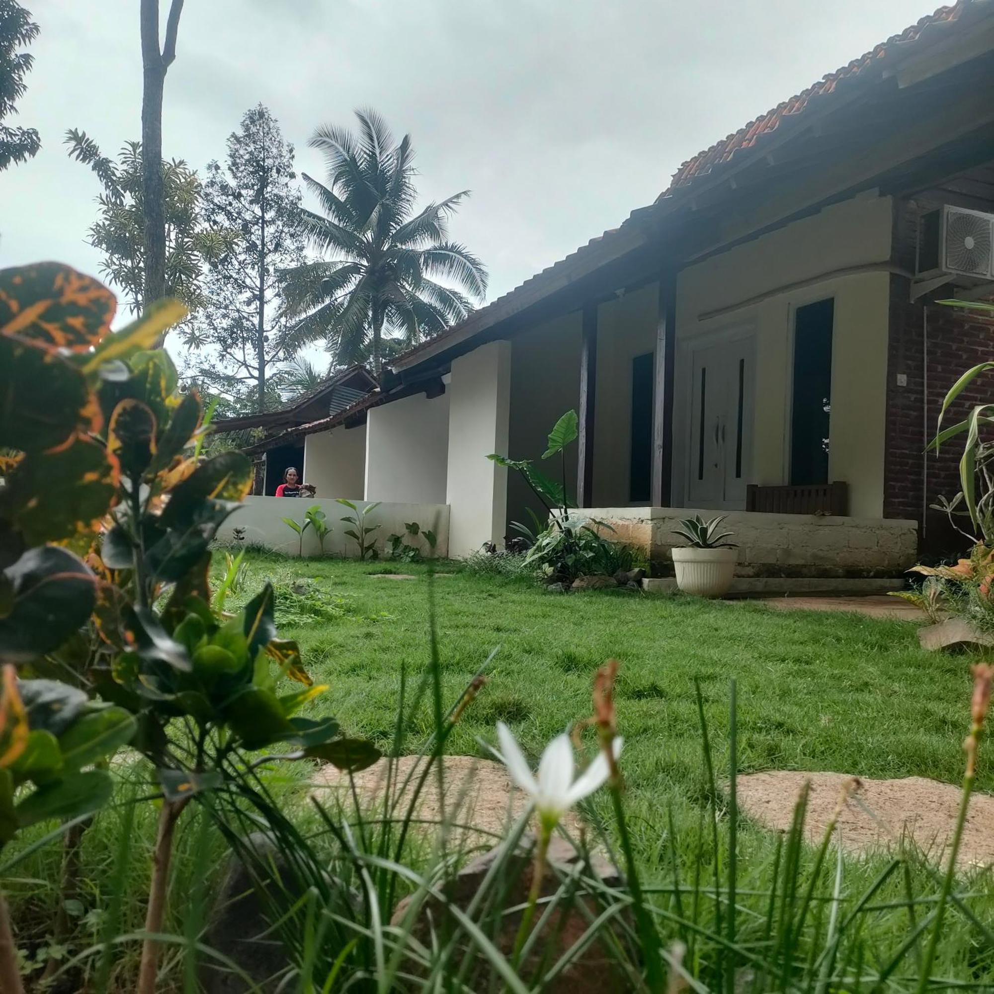 Tiara Homestay Banyuwangi バニュワンギ エクステリア 写真